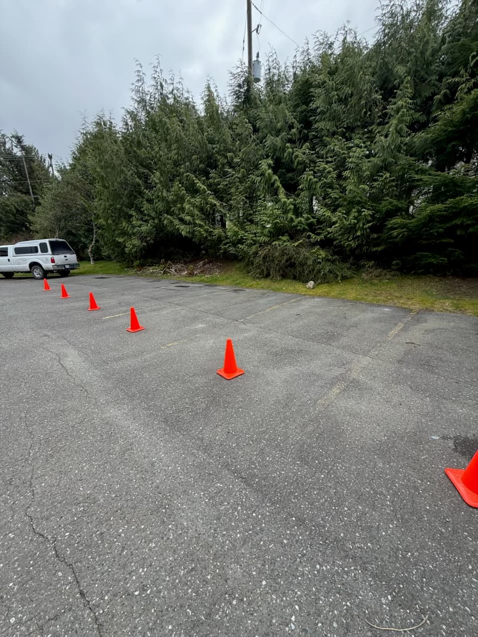 Before photo of an unpainted parking lot edge lined with trees and safety cones.
